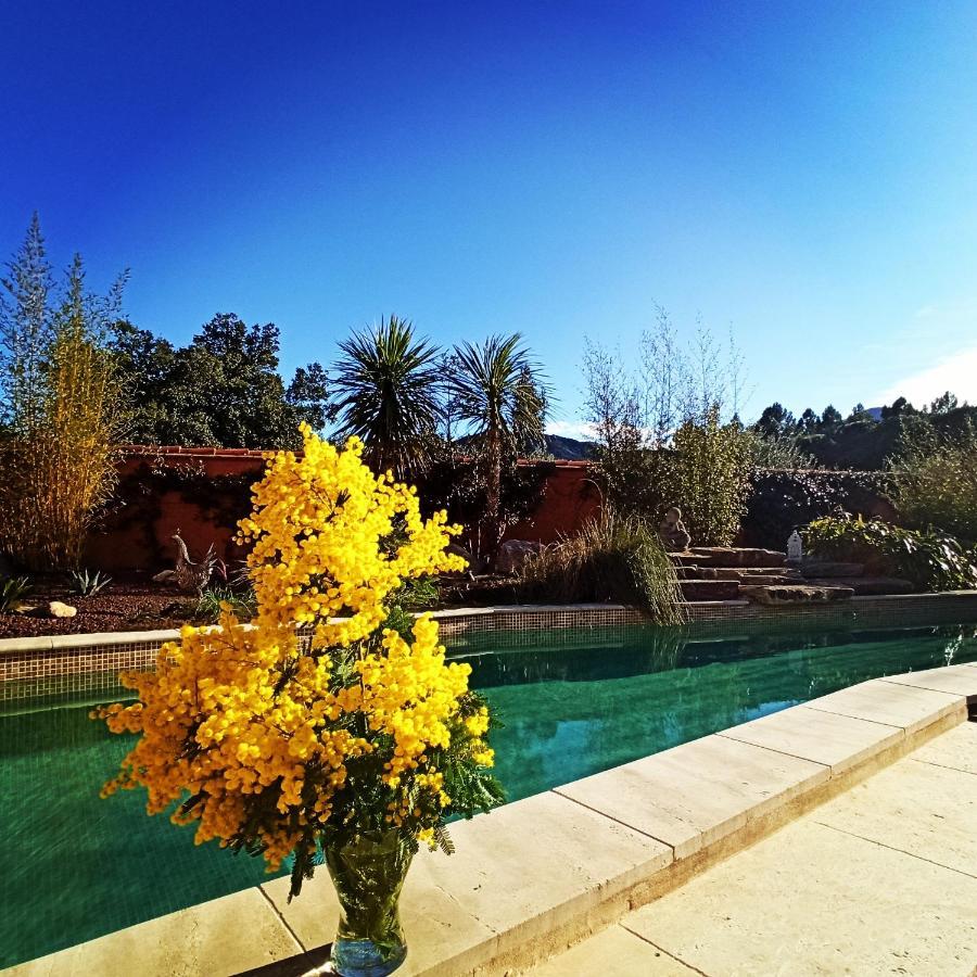 Villa Sorede Ngoại thất bức ảnh